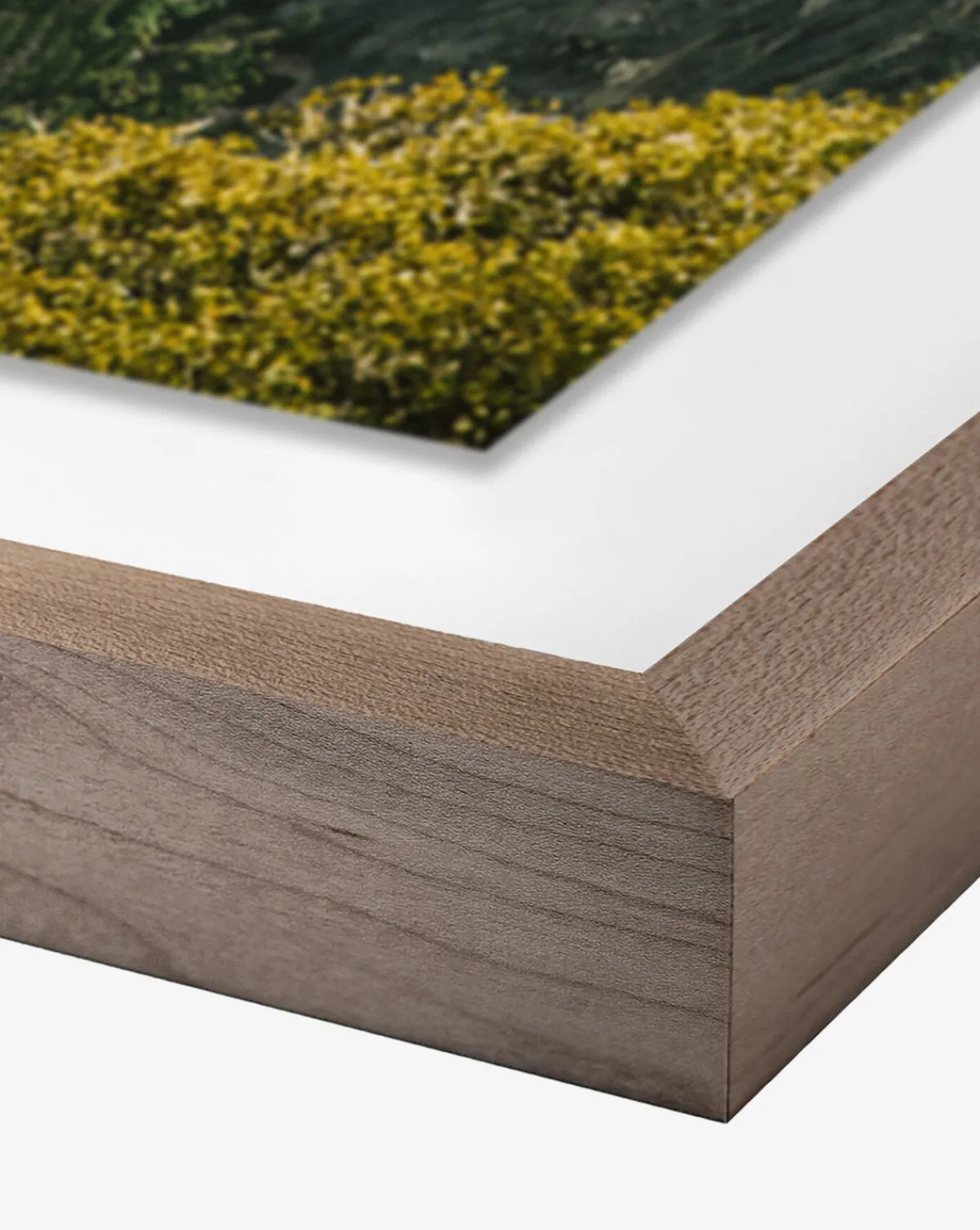 Above The Clouds by Wesley and Emma Teague|Four Hands Outlet