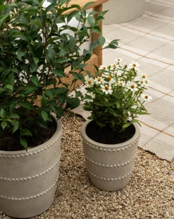 Allaston Planter|Terra Cotta Art Works, Inc. Outlet