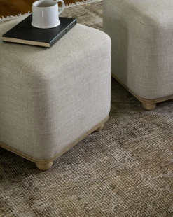 Arie Ottoman|Credence Clearance