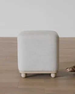 Arie Ottoman|Credence Clearance