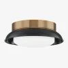 Arnie Flush Mount|Troy Lighting Hot