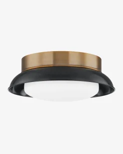 Arnie Flush Mount|Troy Lighting Hot