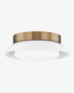 Arnie Flush Mount|Troy Lighting Hot