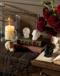 Assorted Resin Skulls (Boxed Set of 4)|Creative Co-op