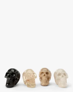 Assorted Resin Skulls (Boxed Set of 4)|Creative Co-op