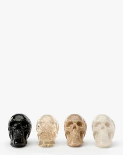 Assorted Resin Skulls (Boxed Set of 4)|Creative Co-op