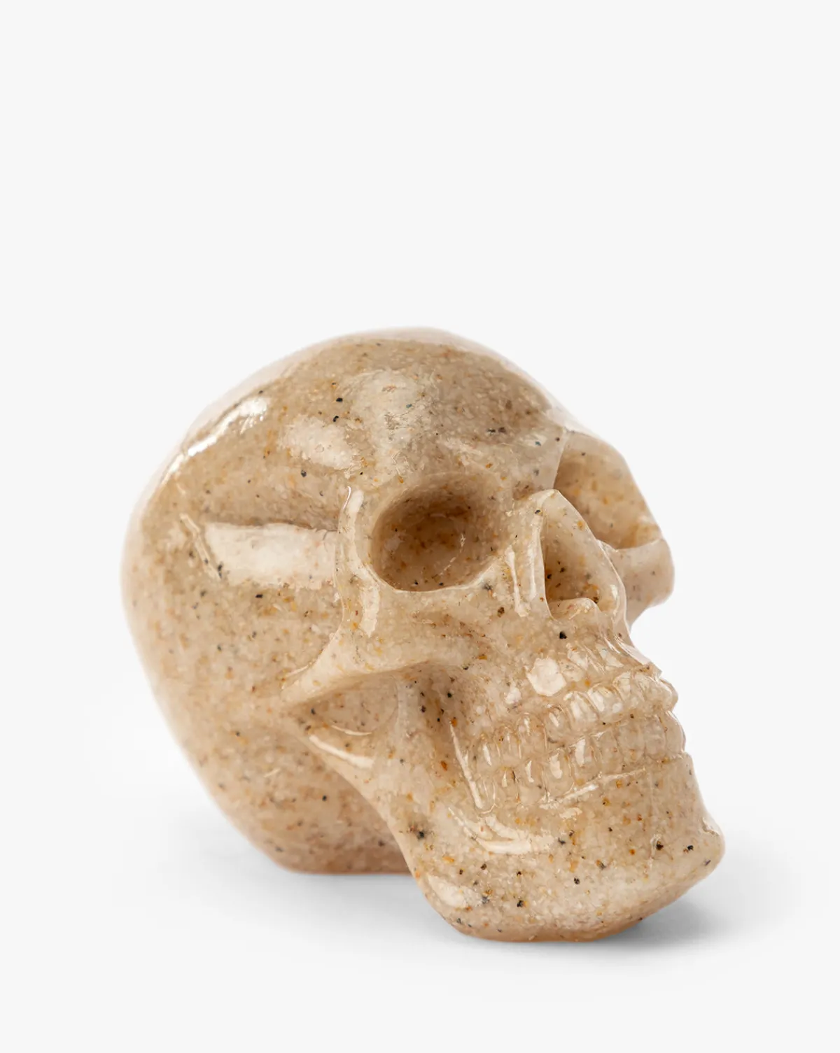 Assorted Resin Skulls (Boxed Set of 4)|Creative Co-op