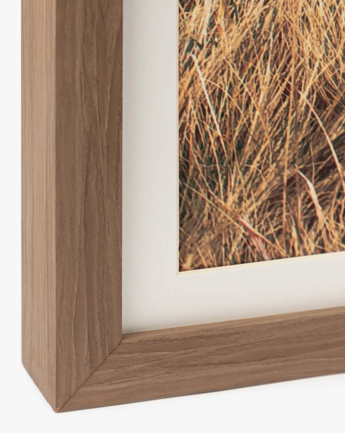 Autumn Marshes|Art Headquarters, LLC DBA Wendover Art Group DBA Kevin O'Brien Studio Discount