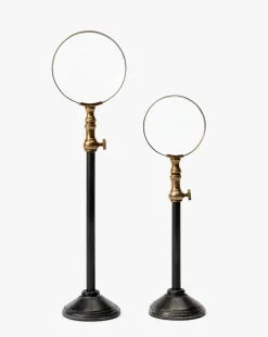 Barnabas Standing Object|Nawab Regency Clearance