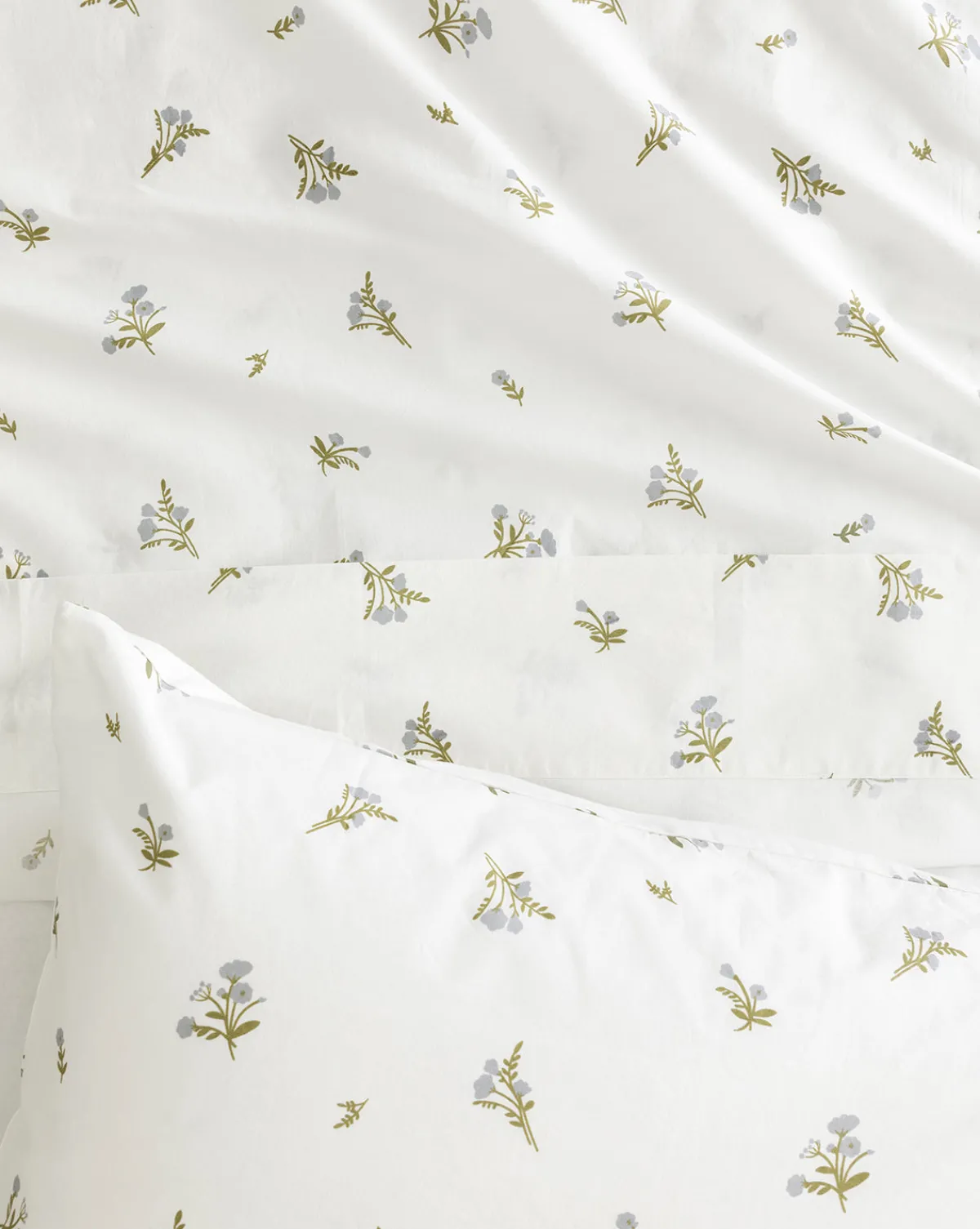 Bertram Kids Organic Sheets|Renuka Inc. Online
