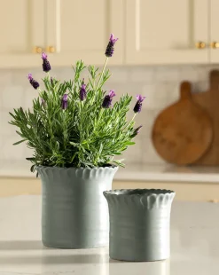 Blythe Pot|Napa Home & Garden Discount