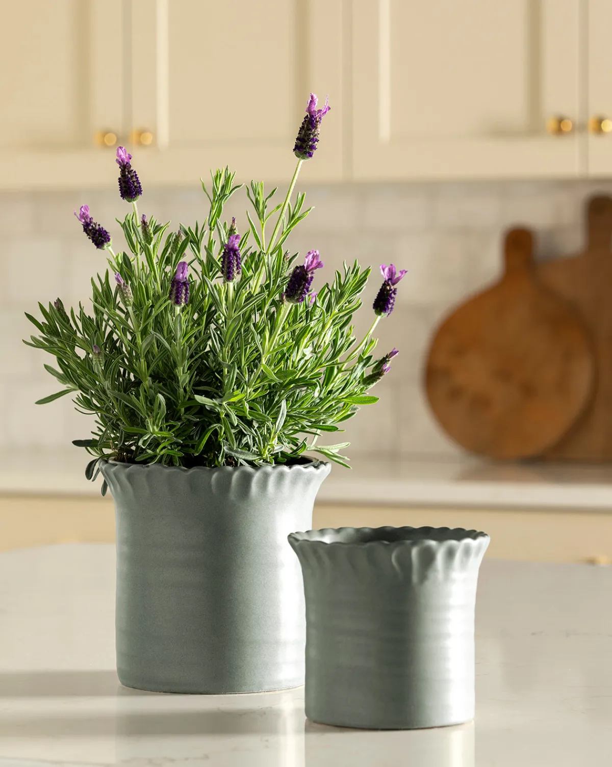 Blythe Pot|Napa Home & Garden Discount