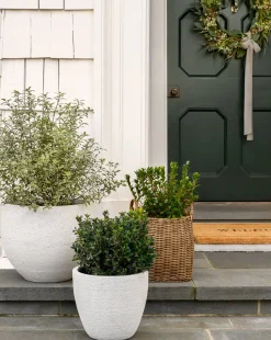 Bodie Fiberstone Planter|Makerspalm Sale