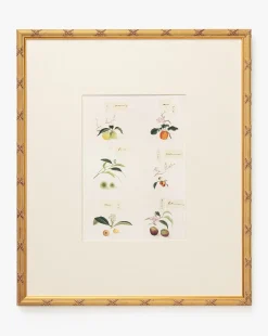 Botanical Grid 1|Art Headquarters, LLC DBA Wendover Art Group DBA Kevin O'Brien Studio Clearance