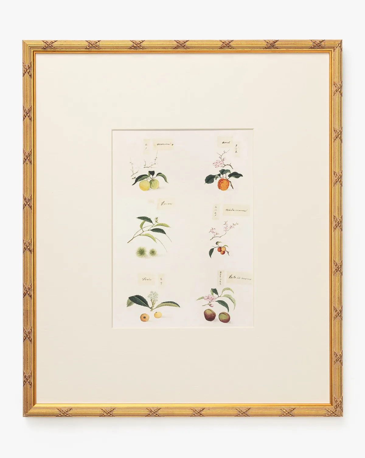 Botanical Grid 1|Art Headquarters, LLC DBA Wendover Art Group DBA Kevin O'Brien Studio Clearance