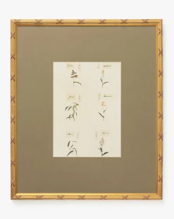 Botanical Grid 3|Art Headquarters, LLC DBA Wendover Art Group DBA Kevin O'Brien Studio Online