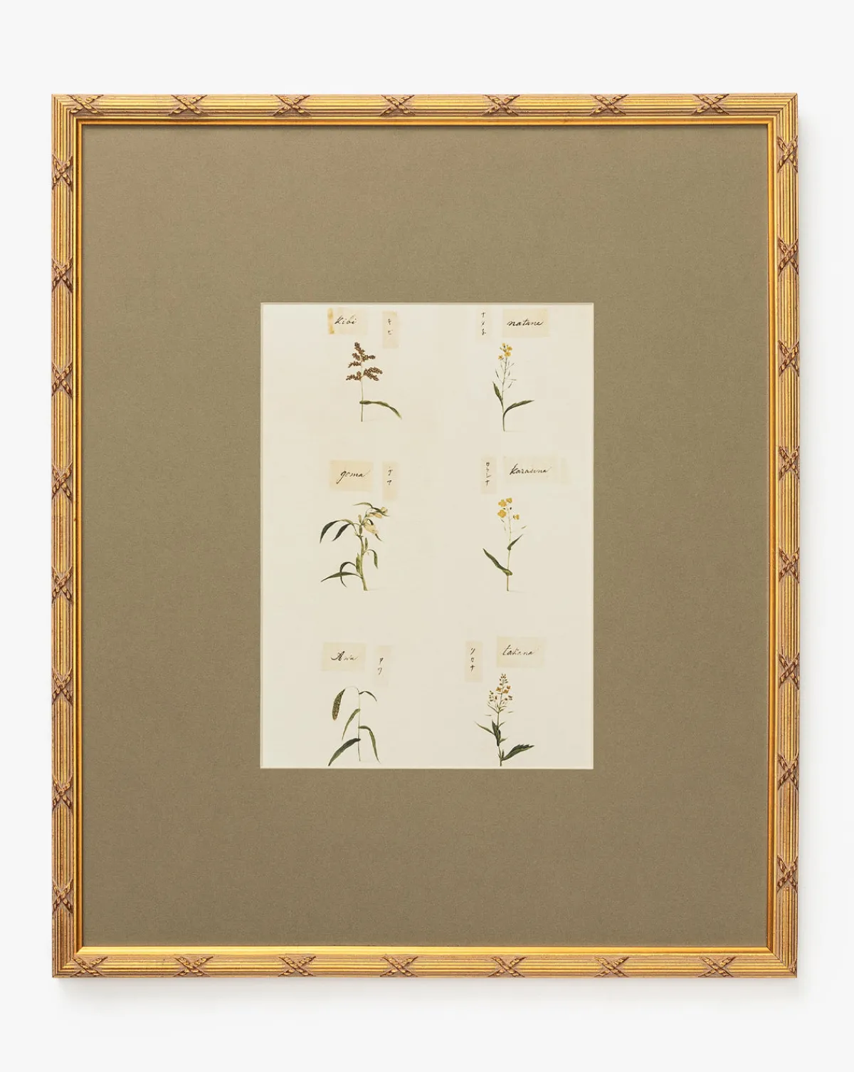 Botanical Grid 3|Art Headquarters, LLC DBA Wendover Art Group DBA Kevin O'Brien Studio Online