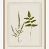 Botanical Pressings I|Art Headquarters, LLC DBA Wendover Art Group DBA Kevin O'Brien Studio New