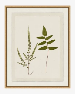 Botanical Pressings I|Art Headquarters, LLC DBA Wendover Art Group DBA Kevin O'Brien Studio New