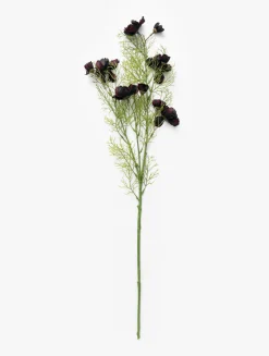 Burgundy Cosmos Stem|Abigail Ahern Ltd Outlet