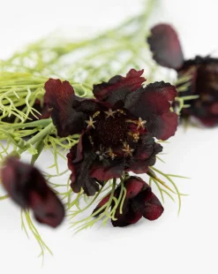 Burgundy Cosmos Stem|Abigail Ahern Ltd Outlet