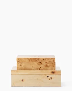 Burl Wood Box|Zodax Best