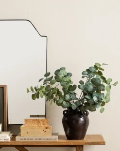 Burl Wood Box|Zodax Best