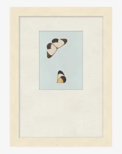 Butterflies Study I|Art Headquarters, LLC DBA Wendover Art Group DBA Kevin O'Brien Studio Online