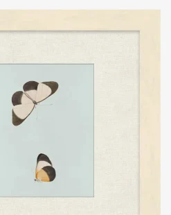 Butterflies Study I|Art Headquarters, LLC DBA Wendover Art Group DBA Kevin O'Brien Studio Online