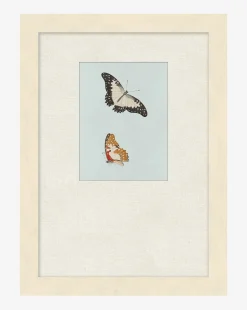 Butterflies Study II|Art Headquarters, LLC DBA Wendover Art Group DBA Kevin O'Brien Studio New