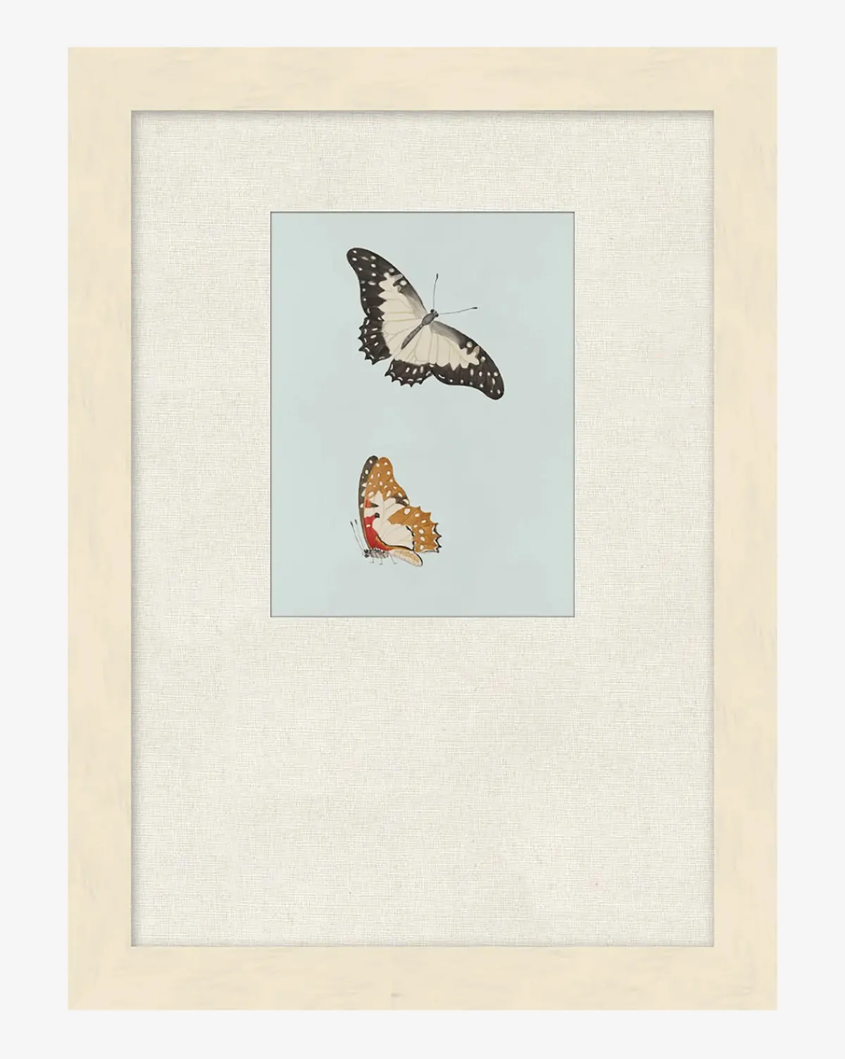 Butterflies Study II|Art Headquarters, LLC DBA Wendover Art Group DBA Kevin O'Brien Studio New