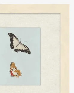 Butterflies Study II|Art Headquarters, LLC DBA Wendover Art Group DBA Kevin O'Brien Studio New