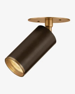 Caleb Flush Mount|Troy Lighting