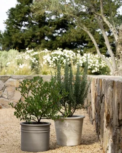 Canton Ceramic Planter|Makerspalm