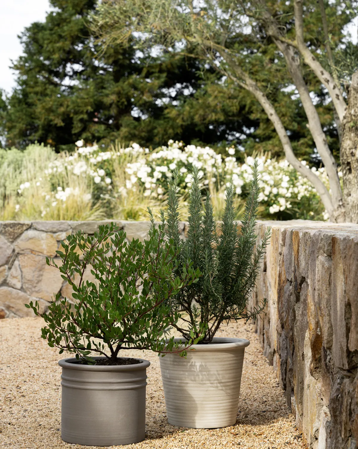 Canton Ceramic Planter|Makerspalm