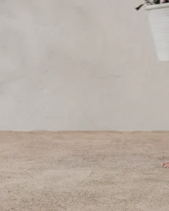 Canton Ceramic Planter|Makerspalm