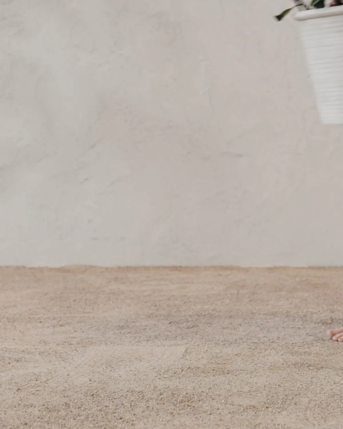 Canton Ceramic Planter|Makerspalm