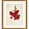 Cherry Study|Art Headquarters, LLC DBA Wendover Art Group DBA Kevin O'Brien Studio New