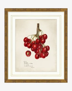 Cherry Study|Art Headquarters, LLC DBA Wendover Art Group DBA Kevin O'Brien Studio New