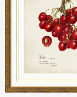 Cherry Study|Art Headquarters, LLC DBA Wendover Art Group DBA Kevin O'Brien Studio New