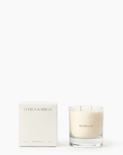 Citrus & Birch Candle|Linnea's Lights Outlet