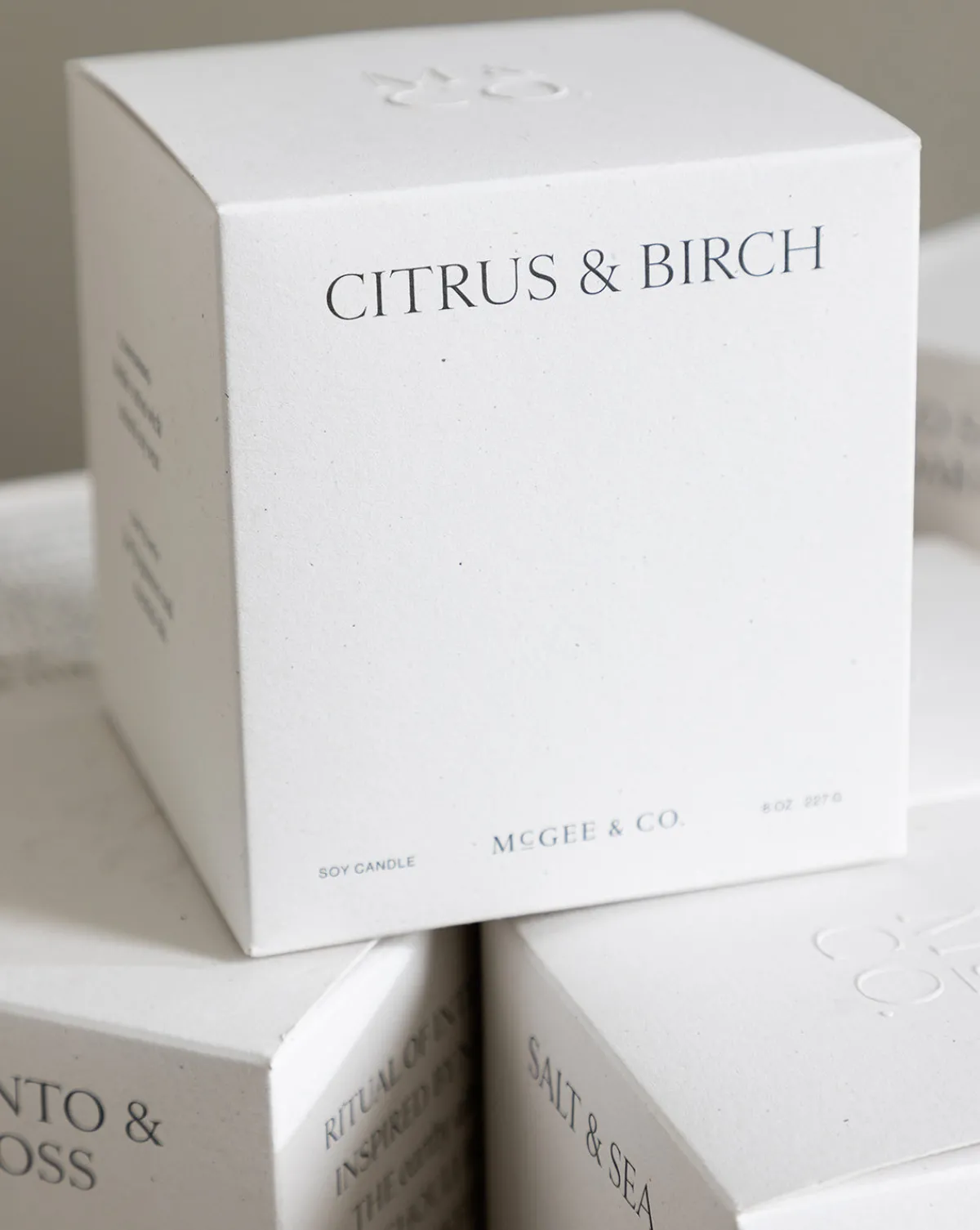 Citrus & Birch Candle|Linnea's Lights Outlet