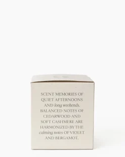 Citrus & Birch Candle|Linnea's Lights Outlet