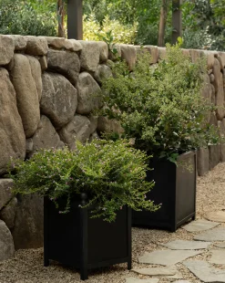 Clariance Planter|Nawab Regency Discount