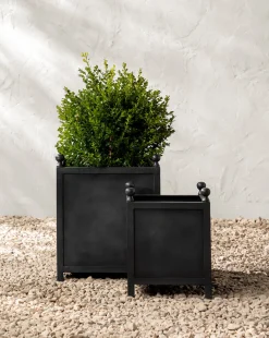 Clariance Planter|Nawab Regency Discount