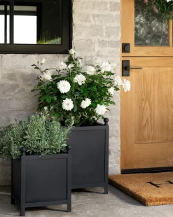 Clariance Planter|Nawab Regency Discount