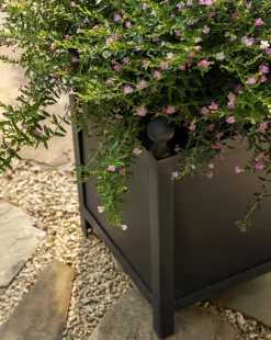 Clariance Planter|Nawab Regency Discount