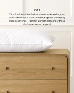 Classic Down Bed Pillow|Down Inc. Hot