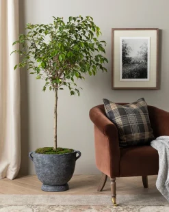 Clemence Lounge Chair (Ready to Ship)|Makerspalm Outlet