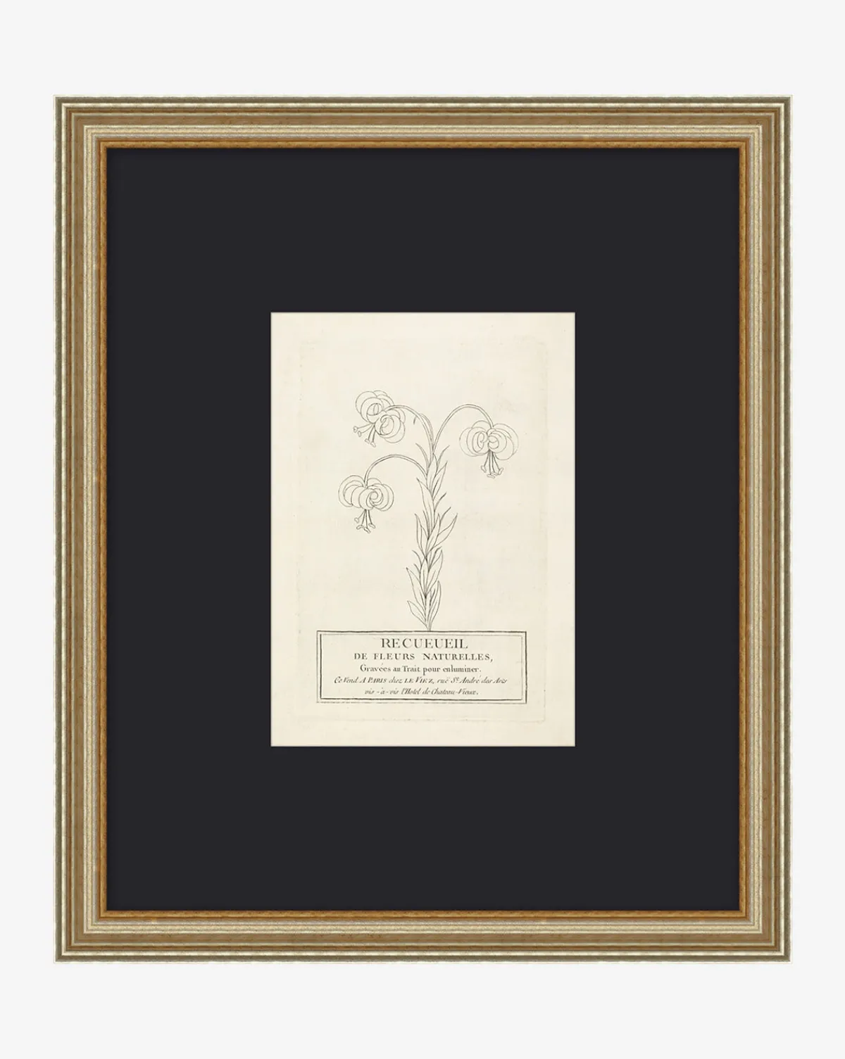 Collection Of French Flowers|Art Headquarters, LLC DBA Wendover Art Group DBA Kevin O'Brien Studio Sale